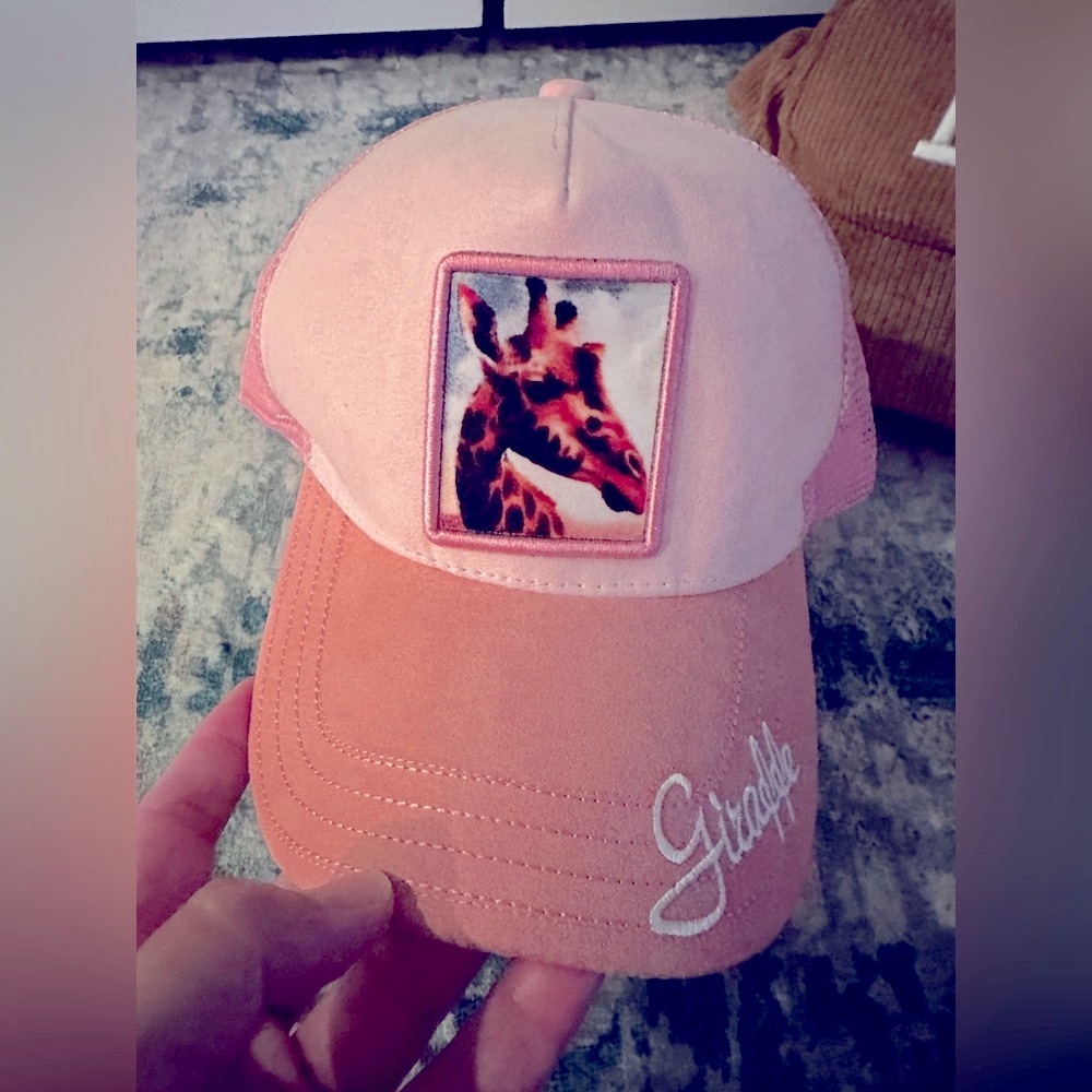 NWT Set of Two Baseball Hats - ONE great price! 💫🧢